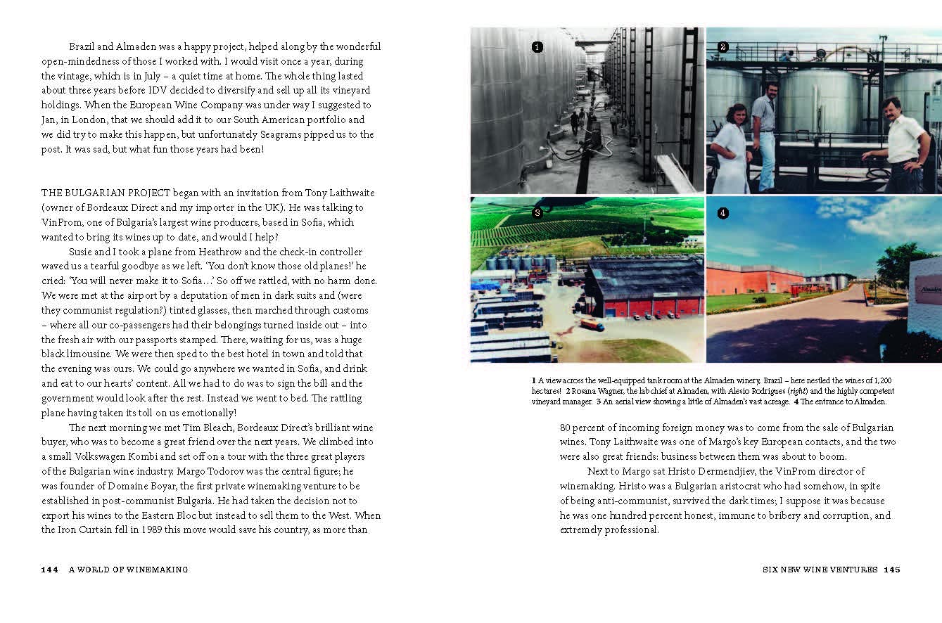 Viking in the Vineyard Peter Vinding-Diers /anglais: Stories from a revolutionary winemaker