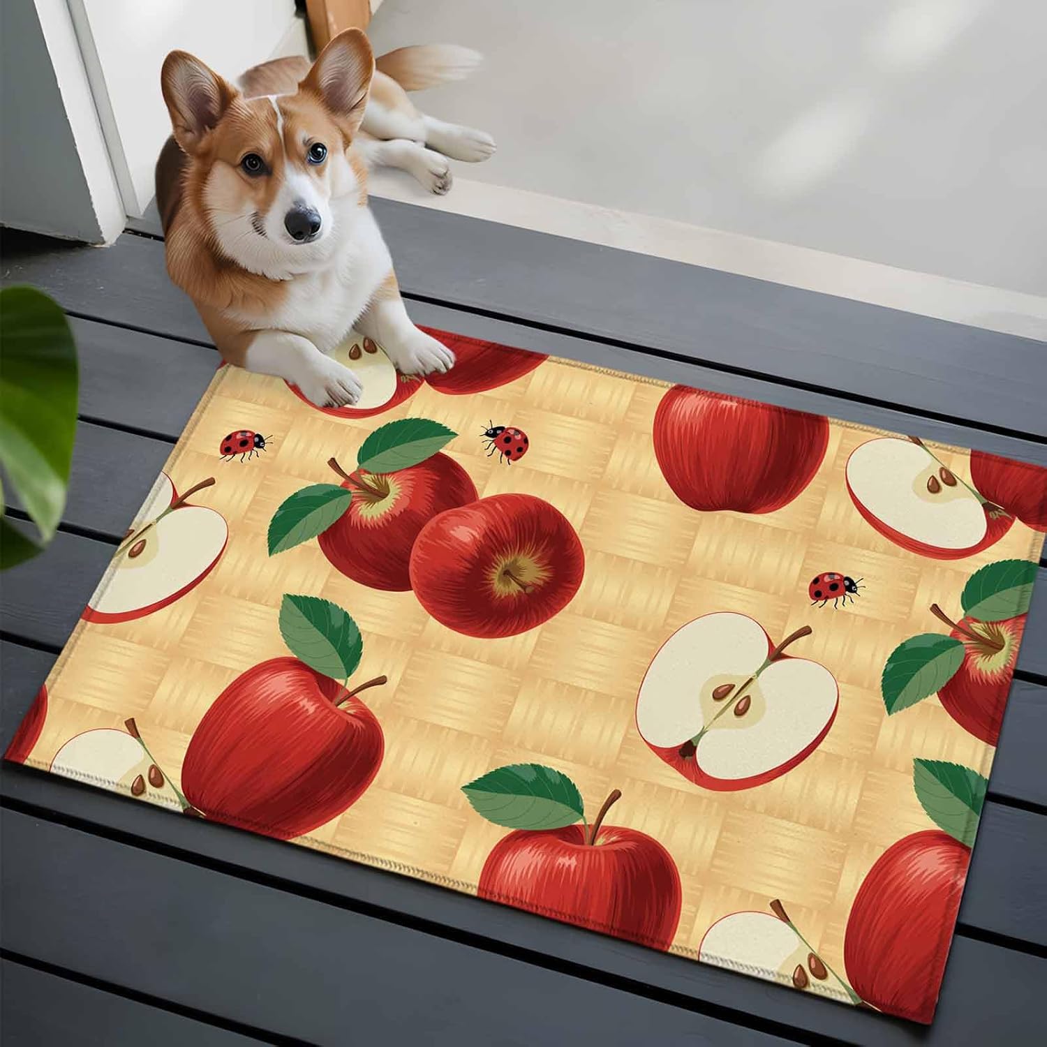 Farmhouse Apples Bathroom Rug Washable 2x3 Entryway Rug Non Slip Country Tropical Fruits Watercolor Front Door Mat Low Pile Indoor Doormat Throw Floor Carpet for Kitchen Bedroom Entrance