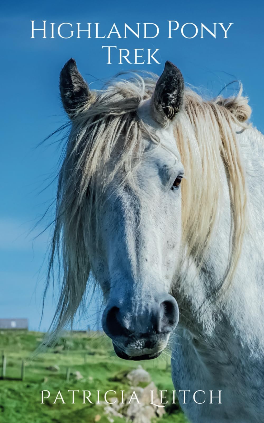 Highland Pony Trek