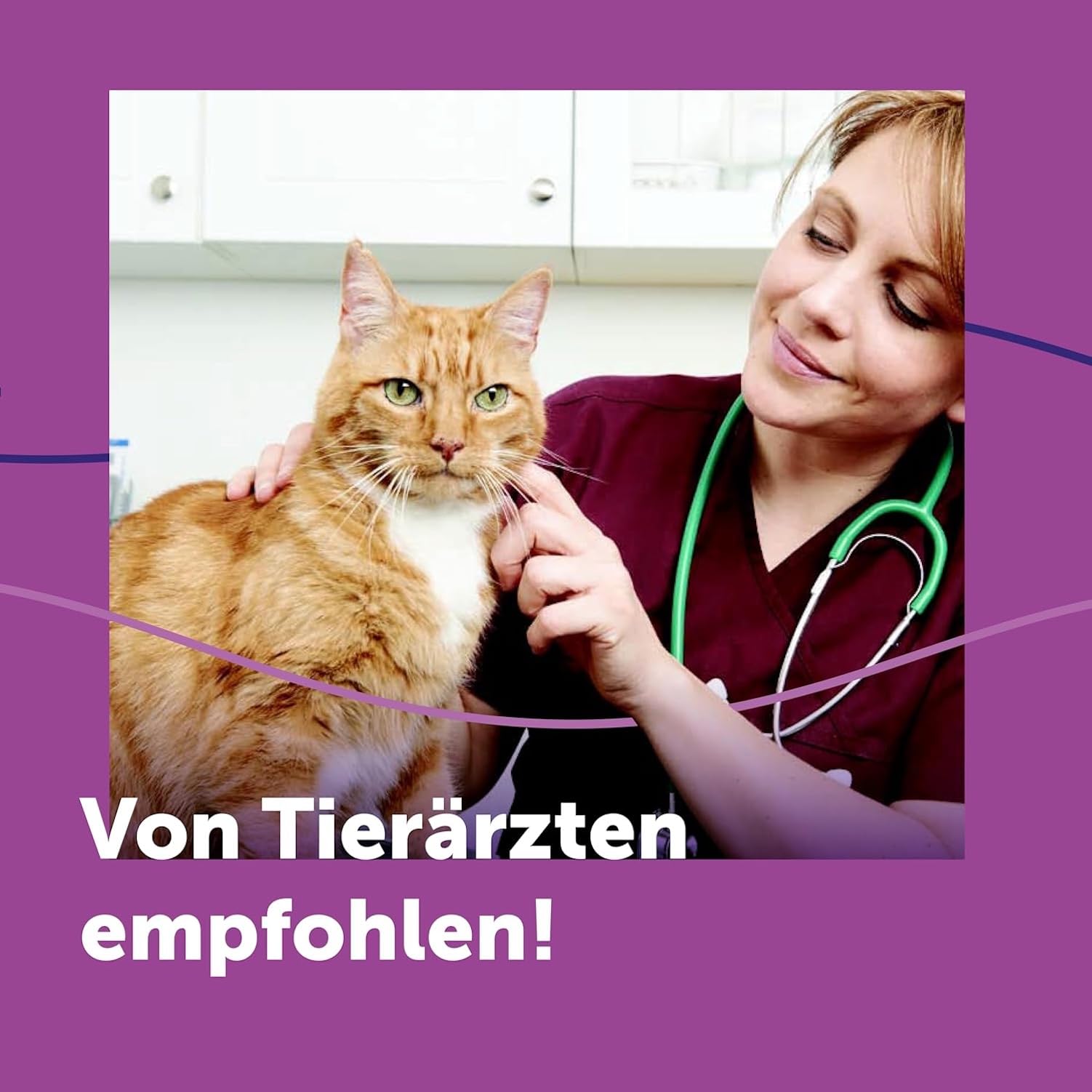 FELIWAY Classic | Pheromone für Katzen | Verdampfer für die Steckdose inkl. 48ml Flakon + 60ml Spray | gegen Stress, für mehr Harmonie | von Tierärzten empfohlen, klinisch getestet
