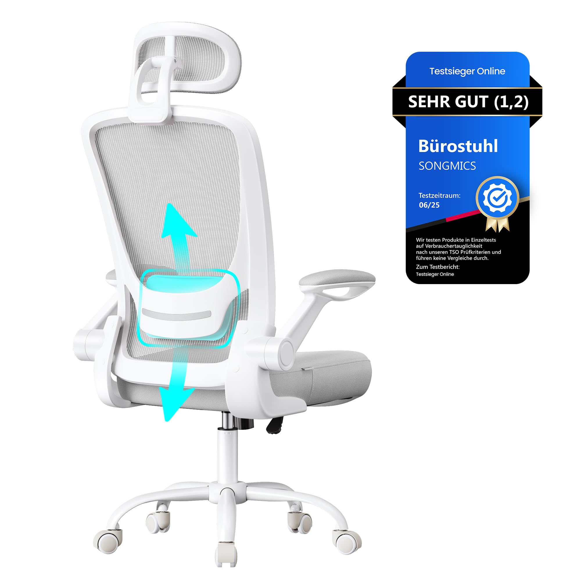 SONGMICS Bürostuhl ergonomisch, Drehstuhl mit Mesh, Lenden- und Kopfstütze, Wippfunktion, 53 cm große Sitzfläche, klappbare Armlehnen, Arbeits- und Schlafzimmer, Studenten, Taubengrau OBN047G01
