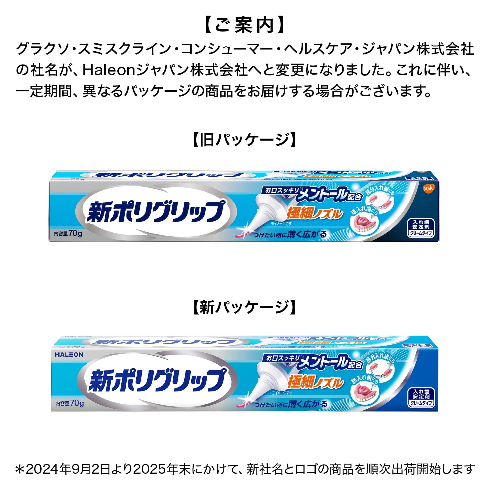 ポリグリップ 極細ノズル メントール配合 部分・総入れ歯安定剤 70g 2本