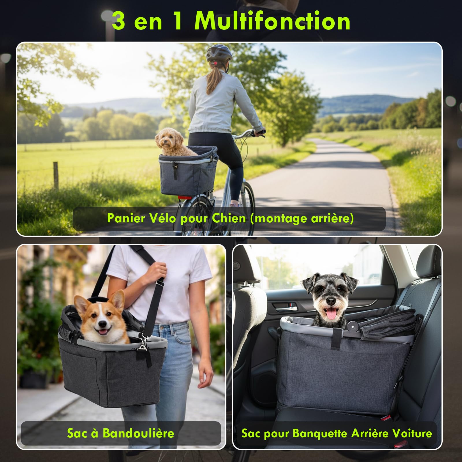 Panier Vélo Arrière Chien Pliable 10KG Cadre Métallique Support Fixation Tubes 9-12 mm Fenêtre Aérée Coussin Bandes Réfléchissantes