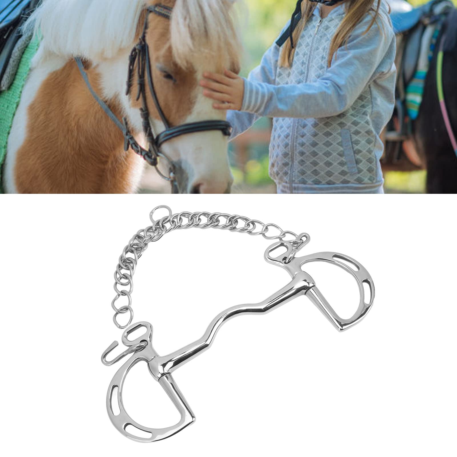 BestAlice Filetto per Cavallo, Morso per Cavallo in Acciaio Inossidabile Filetto per Cavallo da Masticare, Anello a D Filetto per Cavallo in Acciaio Inossidabile Filetto per Bocca di Cavallo con Caten
