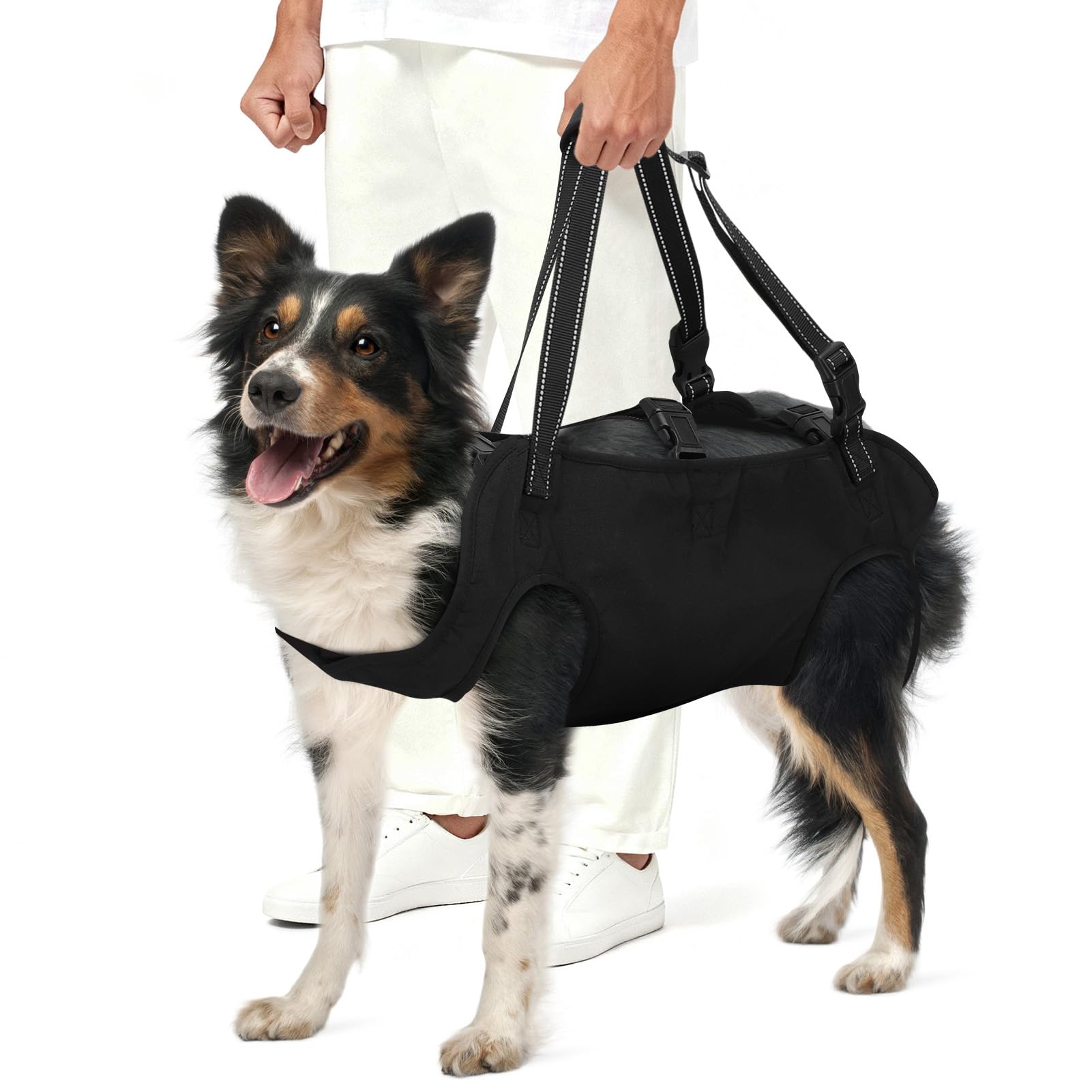 Arnés para perros con mango suave, correa ajustable, tela Oxford transpirable, para exteriores (L)