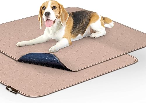 Paw Inspired Almohadillas lavables para orina de perros (paquete de 2), a prueba de fugas, antideslizantes y reutilizables para entrenamiento de