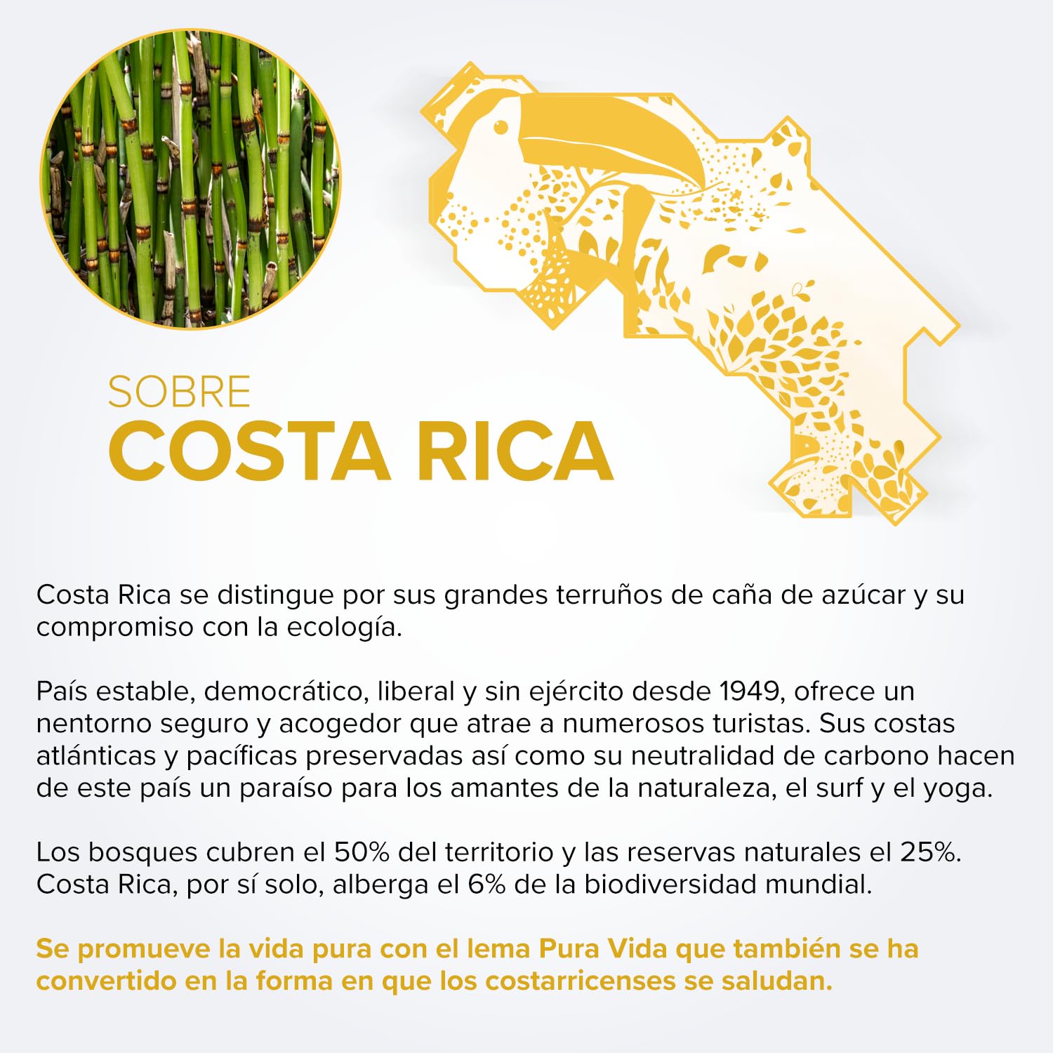 PURA VIDA - X.A - Ron Oscuro - 40% Alcohol - Origen: Costa Rica - Botella 70 cl