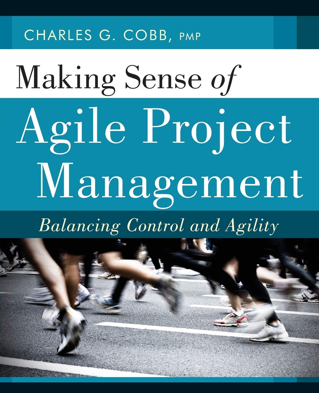 Buy Making Sense of Agile Project Management: Balancing Control and Agility — BookShops.in