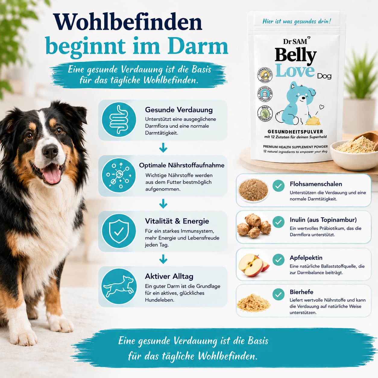 Dr. SAM Futter-Topping Starter Paket für Hunde | 3 x 90g Gesundheits-Toppings für Darmflora, Verdauung, Gelenke, Beweglichkeit, Immunsystem & Vitalität | Tierärztlich entwickelt zur Rundumversorgung