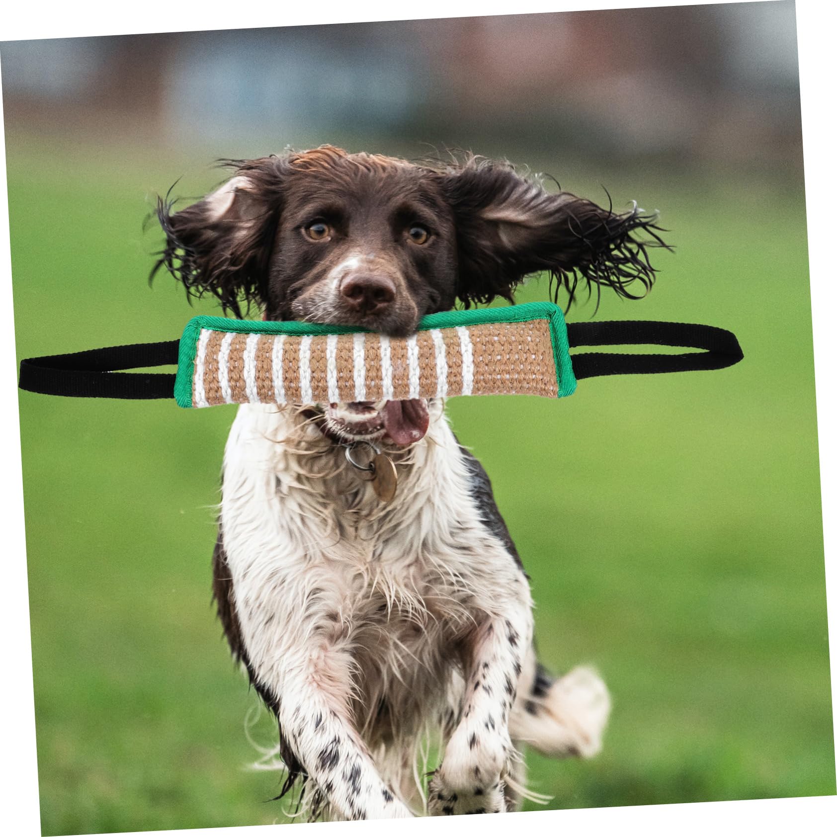 Toddmomy 3piezas Almohada De Entrenamiento para Perros Juguete Interactivo Resistente para Morder Adecuada para Perros Fabricada Yute para Hábitos De Masticación
