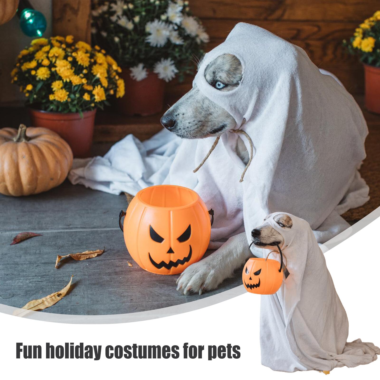 Bambola Assassina Animali Domestici Vestiti Di Carnevale X Cani