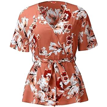 JEShifangjiusu Womens Plus Size Floral Chiffon Tops V Neck