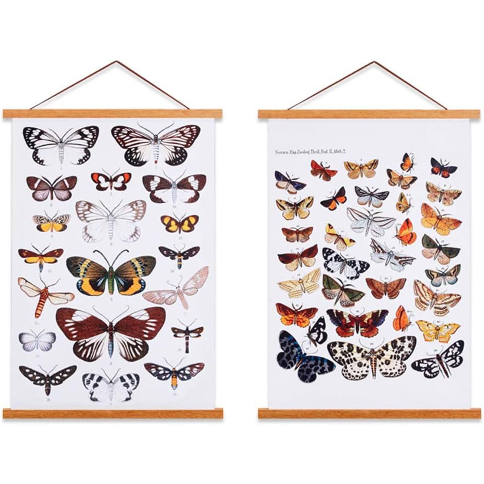 Ywlake Posterleiste Posterschiene Posterleisten, Magnet Magnetische Holz Poster Aufhänger Halter Rahmen Leisten Bild Bilder Bilderrahmen Bilderleiste 50x70 50x100 50x75 (50cm, Teak, 2 Packungen)…