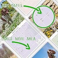 Vista 685 de Razas de Perros 2017