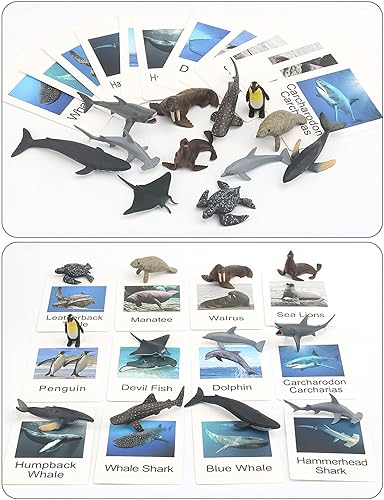 Miniatura 5 de Figuras pequeñas de animales Montessori con tarjetas flash, figuras de animales realistas, materiales Montessori, educación en casa, preescolar,