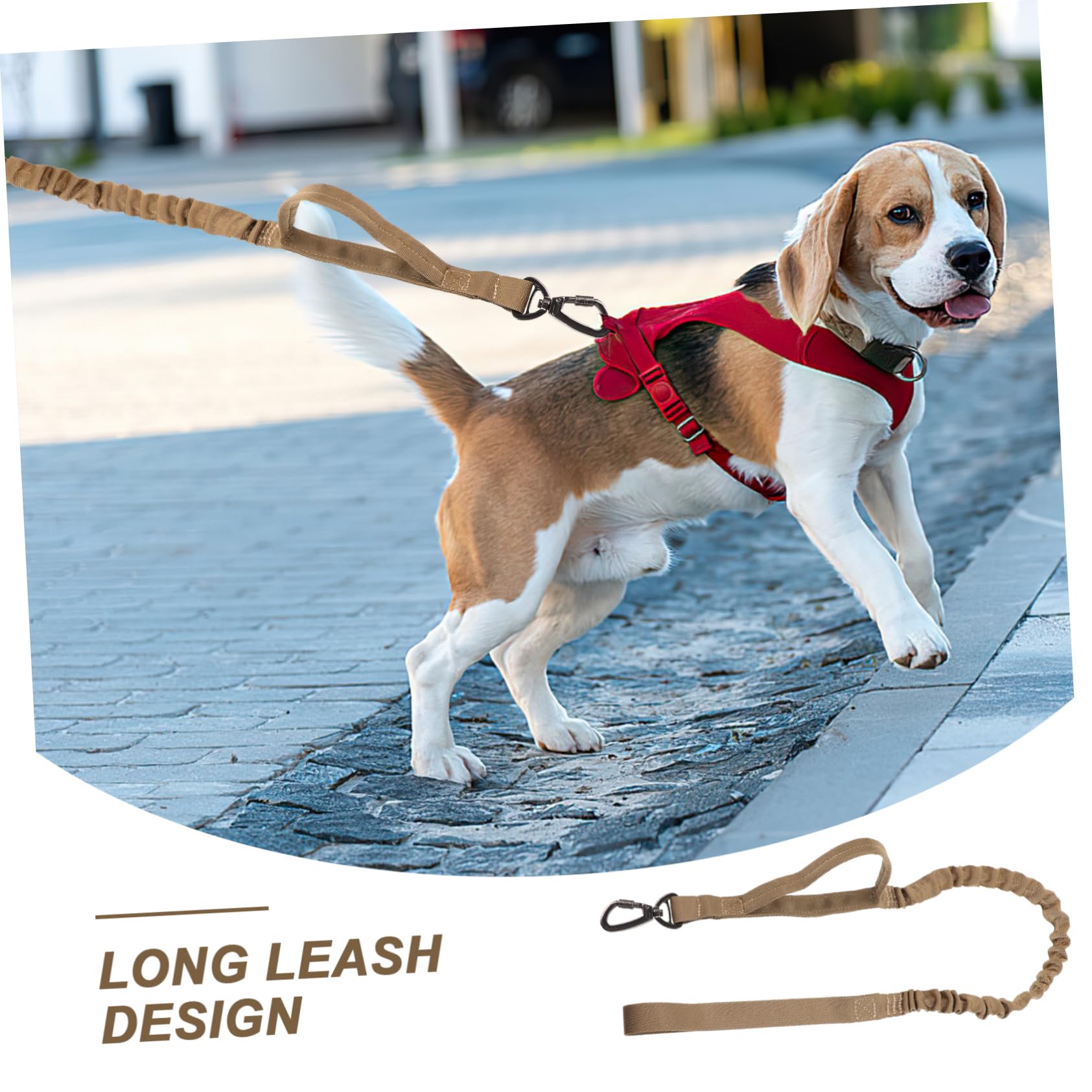 Sosoport 3pezzi Guinzaglio Regolabile Per Cani Nylon Elasticizzato Design Per Addestramento Resistente e Confortevole Da Impugnare Per Passeggiate e Addestramento Cani