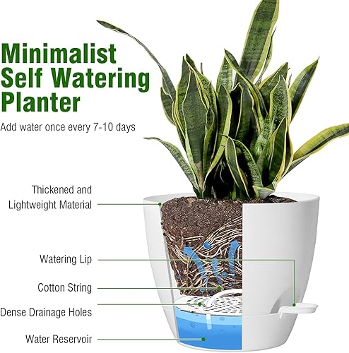 Miniatura 4 de DEMYA Macetas de riego automático de 1098 pulgadas, juego de 3 unidades, macetas grandes, macetas de plástico con agujeros de drenaje y depósito