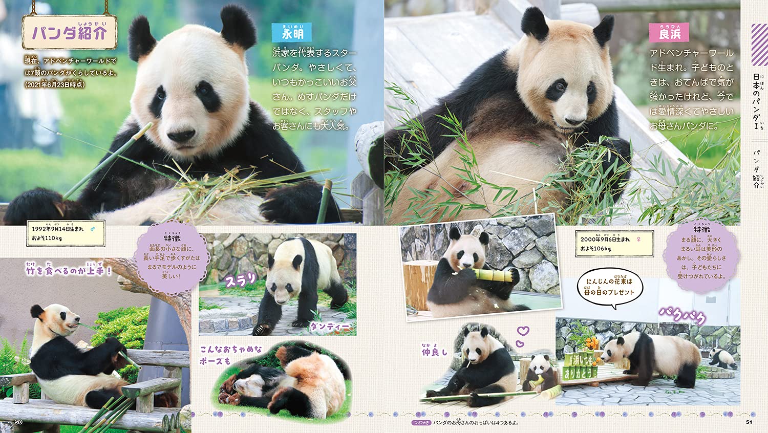 もふもふパンダといっしょ 学研の図鑑live Petit 今泉忠明 神戸万知 配送料無料