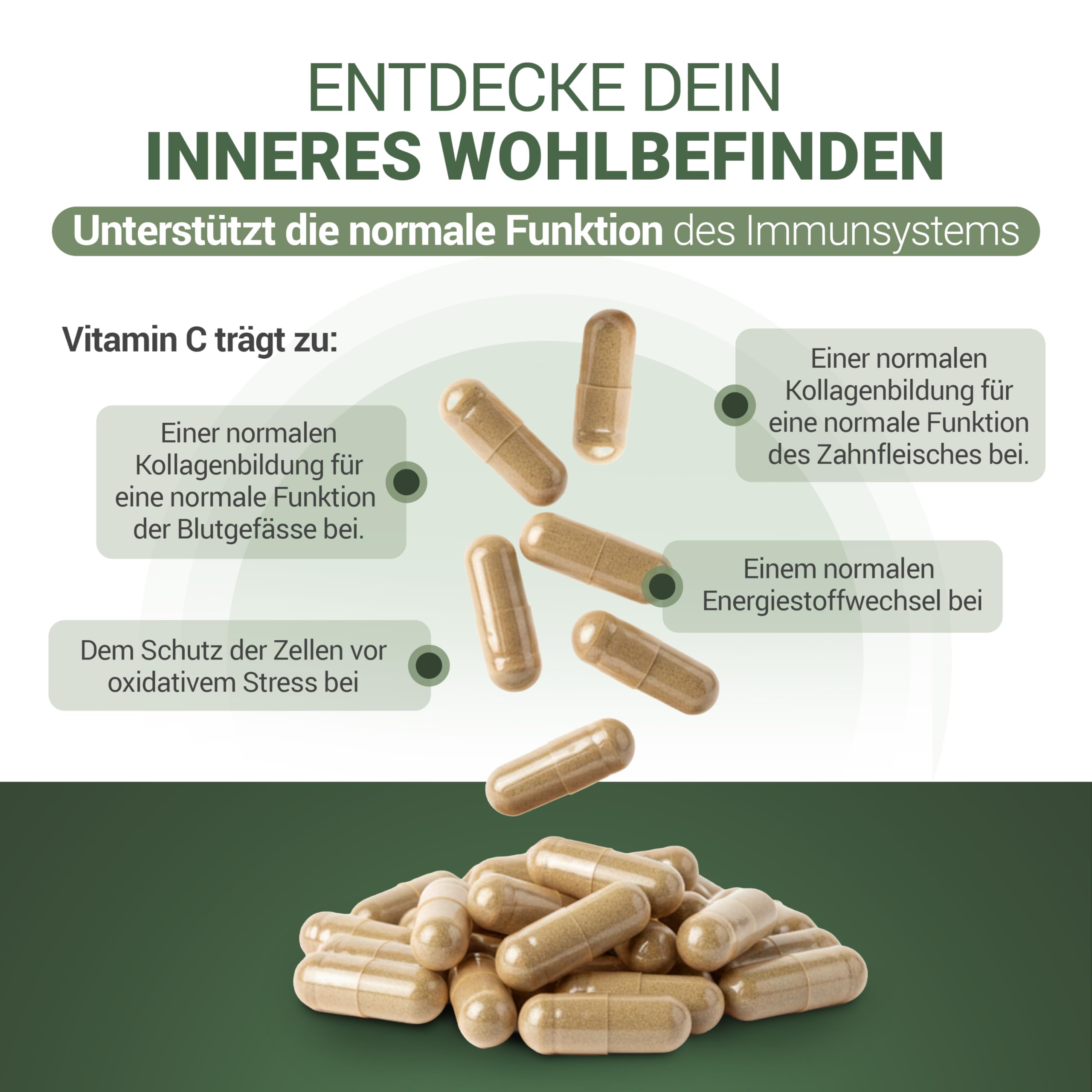 200 Kapseln - Mit Vitamin C - Unterstützung von Blutgefäßen, Immunsystem & Schutz vor Stress - Nach tibetischer Rezeptur mit Kräutern & Mineralien - Vegan, hergestellt in der Schweiz