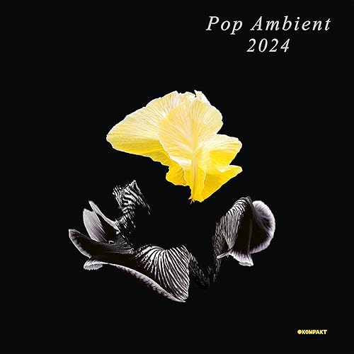 Pop Ambient 2024