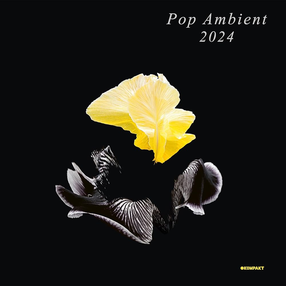 Pop Ambientシリーズ 9枚セット　ポップ・アンビエント　KOMPAKT 71TL3fBIvoL._UF1000,1000_QL80_.jpg