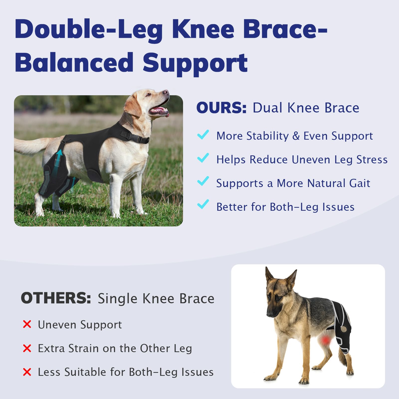 Rodillera para perros con osteoartritis, rótula luxante, displasia de cadera y LCC, S y 2