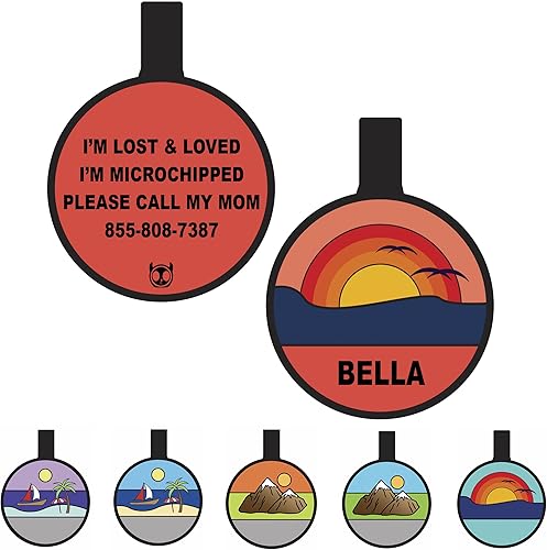 Placa silenciosa para perro personalizada con 5 líneas personalizadas, grabadas profundamente, de silicona, duradera, sin sonido, para