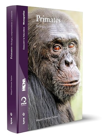 Primates