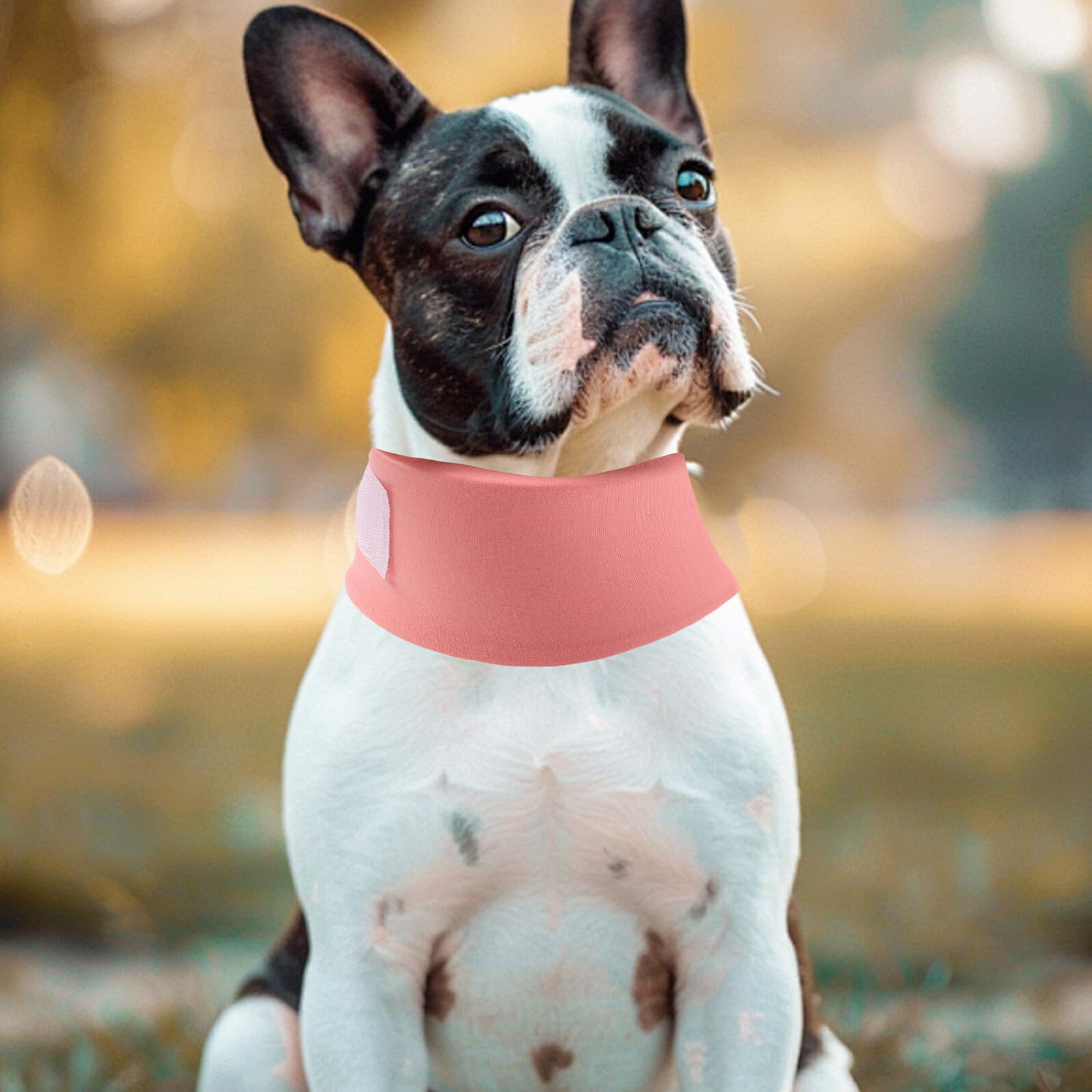 SUPVOX 4pezzi Collare Elisabettiano Anti-leccamento Morbido per Cani e Gatti Regolabile Protezione Post-operatoria per Animali Domestici per Recupero e Guarigione