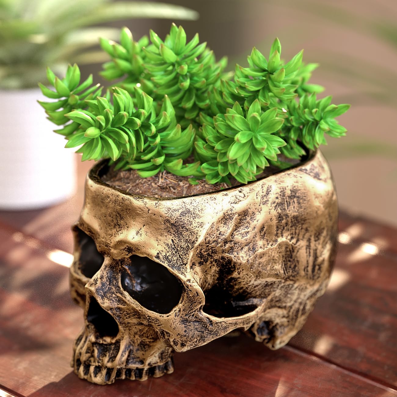 Totenkopf-Schale Aus Kunstharz, 16,5 X 11,5 Cm – Als Blumentopf, Süßigkeitenschale Oder Deko Für Halloween