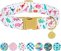Vista 1 de Collar de perro de algodón de dinosaurio con hebilla de metal, collar de regalo para niñas o niños pequeños, medianos y grandes, lindos collares