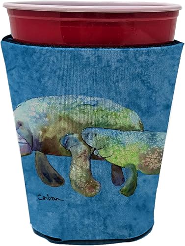 Miniatura 76 de Caroline Treasures 8654CC - Aislador de piña o botella para bebida, puede abrazar, multicolor