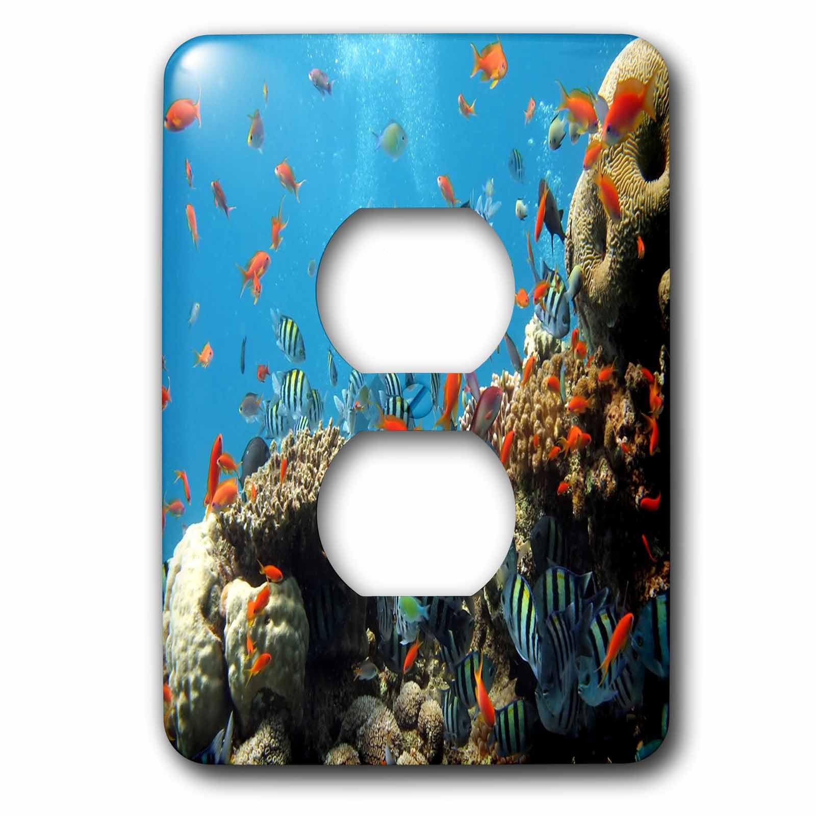 Poisson parmi les coraux coque de prise pour égayer la chambre d'enfant