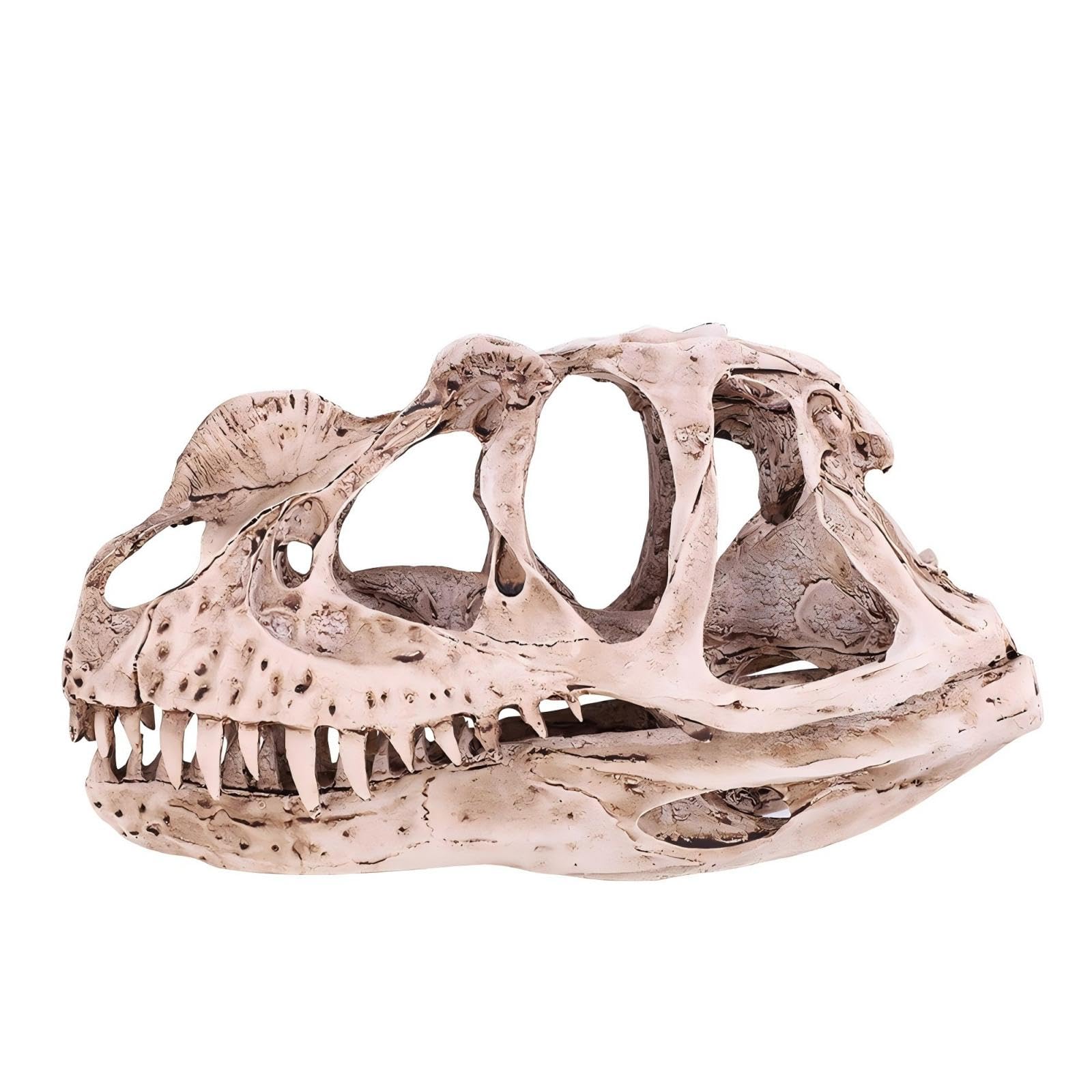 Dinosaurus Fossielen 40 Stuks | | Creatief, Sensorisch En Open