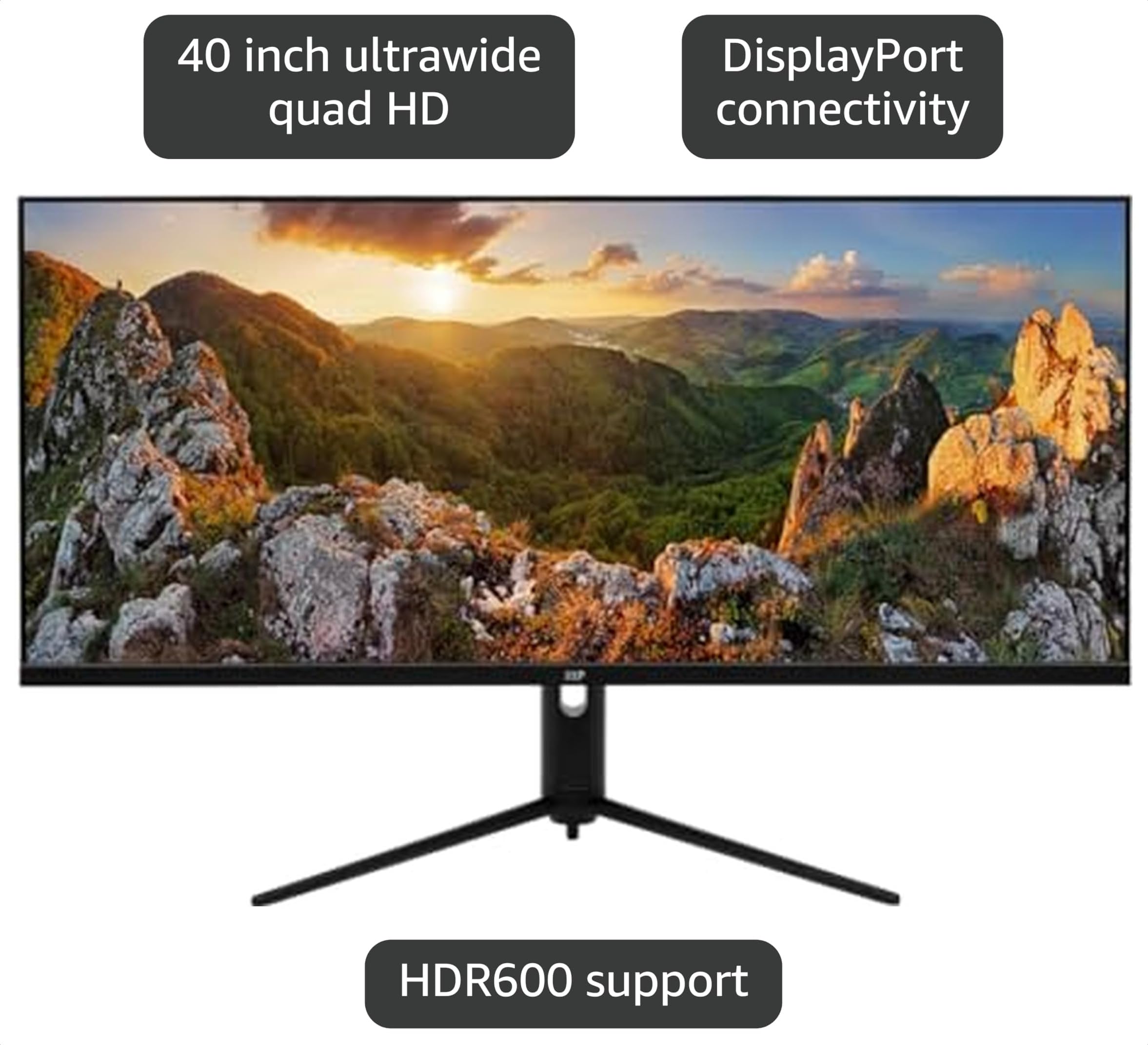 Amazon.com: Monoprice 40in Ultrawide 1440P Productivity Monitor