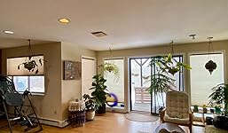 Review Image by Carolann V Carolann V