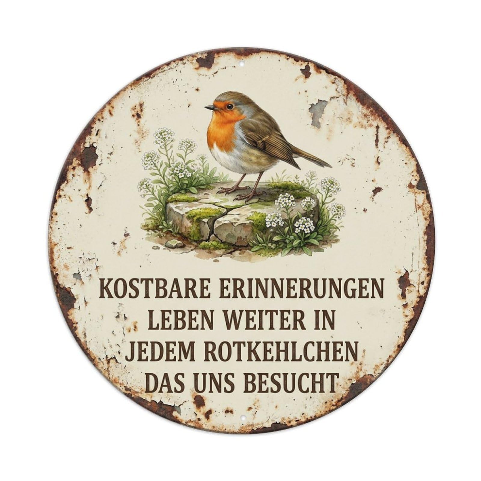 Tgrcjimh Style. Vintage Robin Bird Garden Quote Reminder Metal Tin Sign