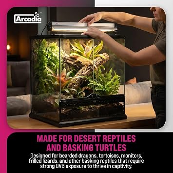 Arcadia D3 UVB Lamp 22 Long 24 Watts 12% Desert T5 UVB Light for Reptiles, Bearded Dragons, Monitors, Tortoises and Turtle Tanks, Reptile Fluorescent Lamp Easy to Use Terrarium Lighting Setup