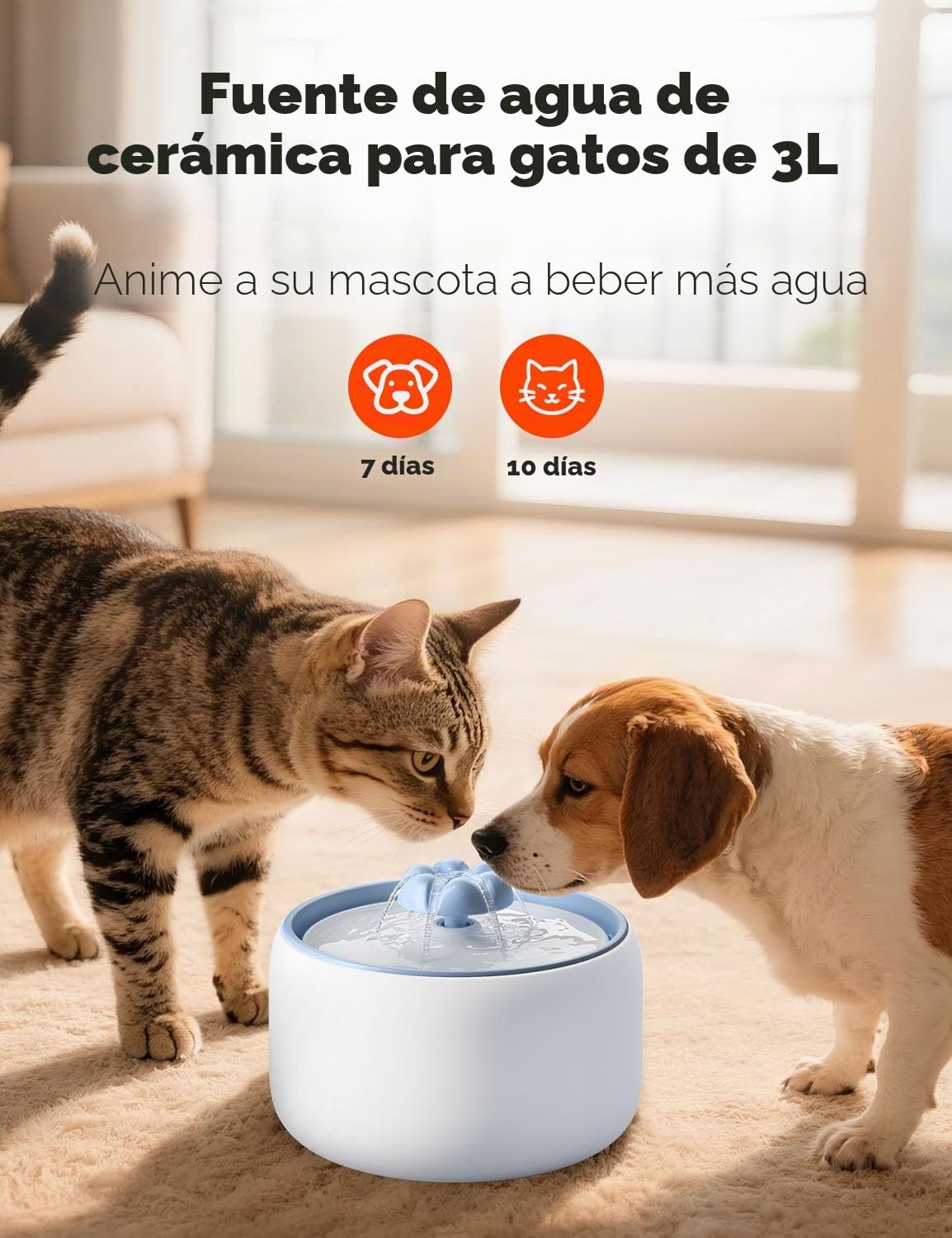 WOPET Fuente de agua de cerámica para gatos, 3L/2,863.3 g W03 Lite elegante fuente de agua para mascotas, dispensador de agua para gatos y perros, ultra silenciosa, fácil de limpiar y montar, blanco y