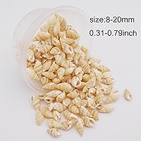 Vista 2 de Cerca de 250 piezas de conchas en espiral de concha de mar color amarillo natural para manualidades, mini caracolas para hacer velas, fiesta