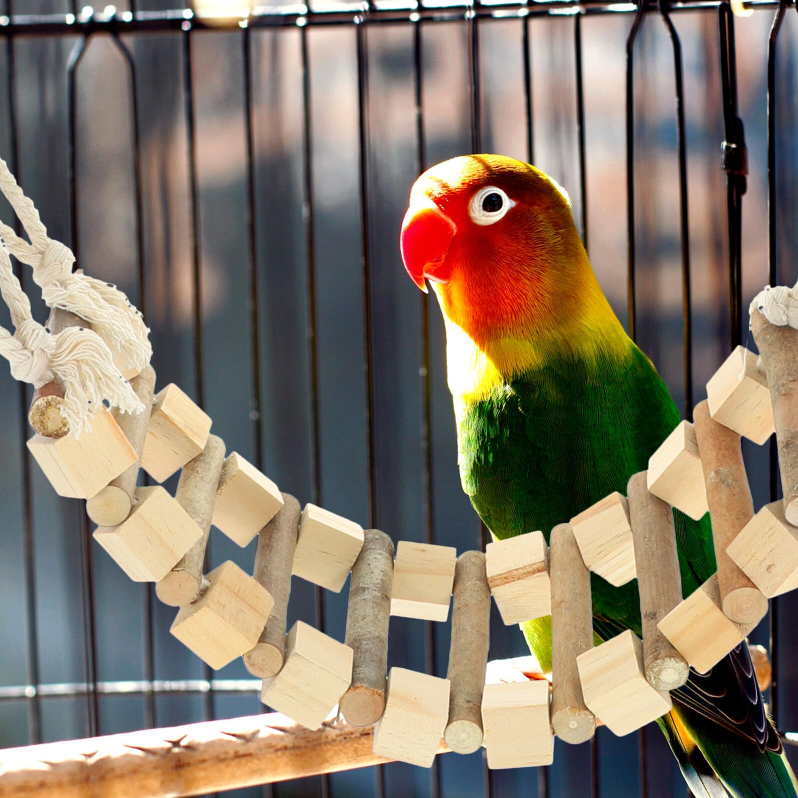 DOITOOL Nido de Pájaro para Mascotas con Material Sintético, Casita Colgante con Escalera para Aliviar el Estrés y Proporcionar Seguridad a Cacatúas y Periquitos
