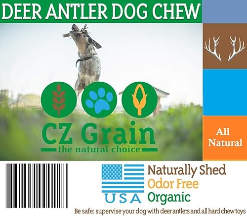 Miniatura 4 de CZ Grain Cuerno de ciervo grande XXL para perros, para masticadores grandes, de grado A de alta calidad, para masticar, de larga duración, para tu