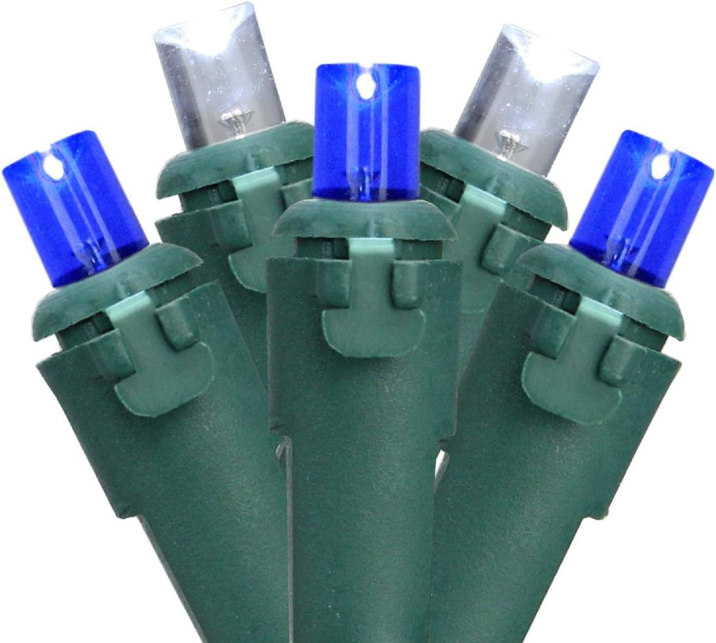 Northlight 50ct Blue and White LED Wide Angle Mini