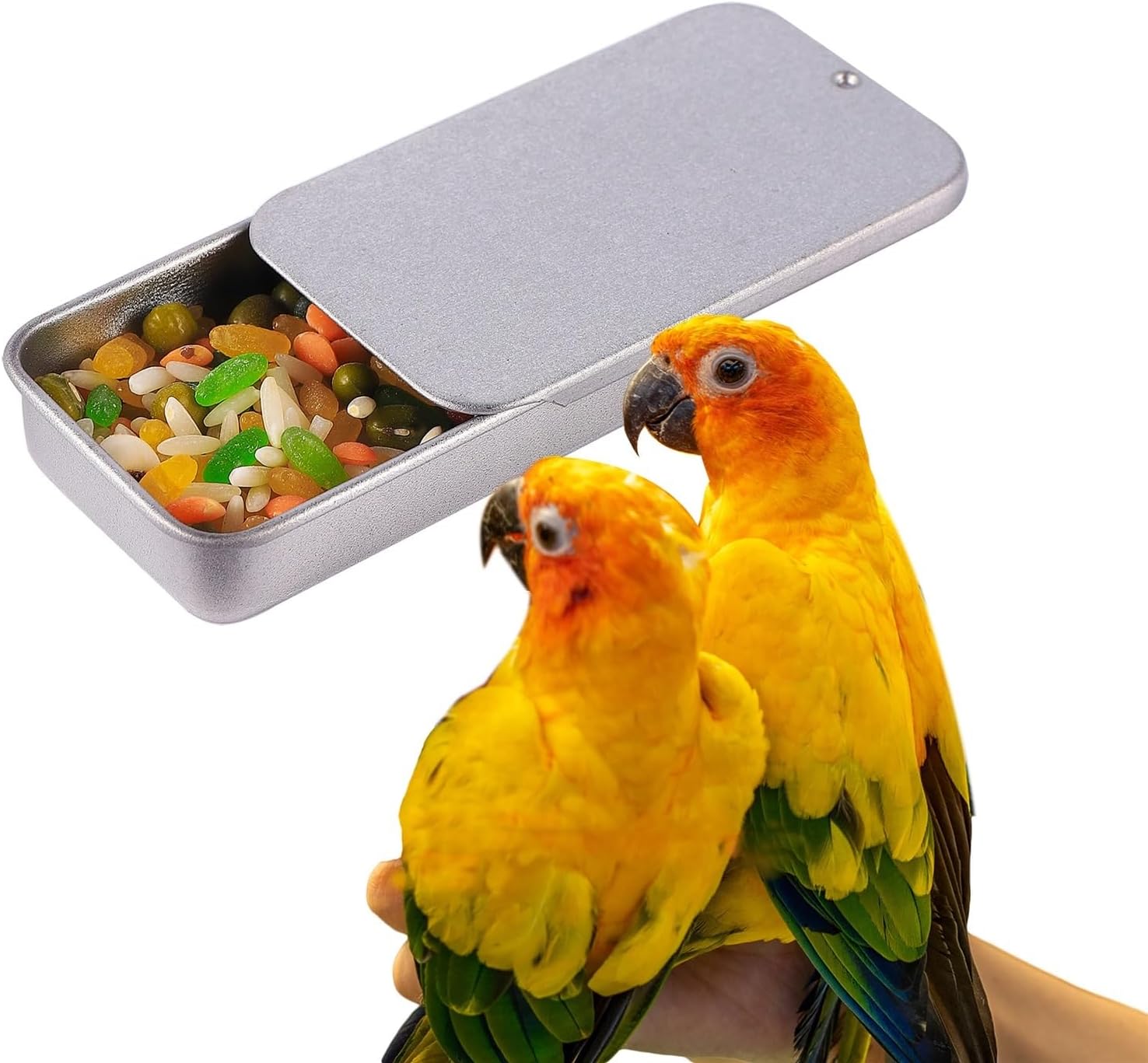 Bird Training Food Jar 30pcs Mini Bird Training Food Box Portable Hand-held Parrot Feeder Feeding Box Training Food Jar Bird Training Interactive Toy for Canary Finch Outdoor Use