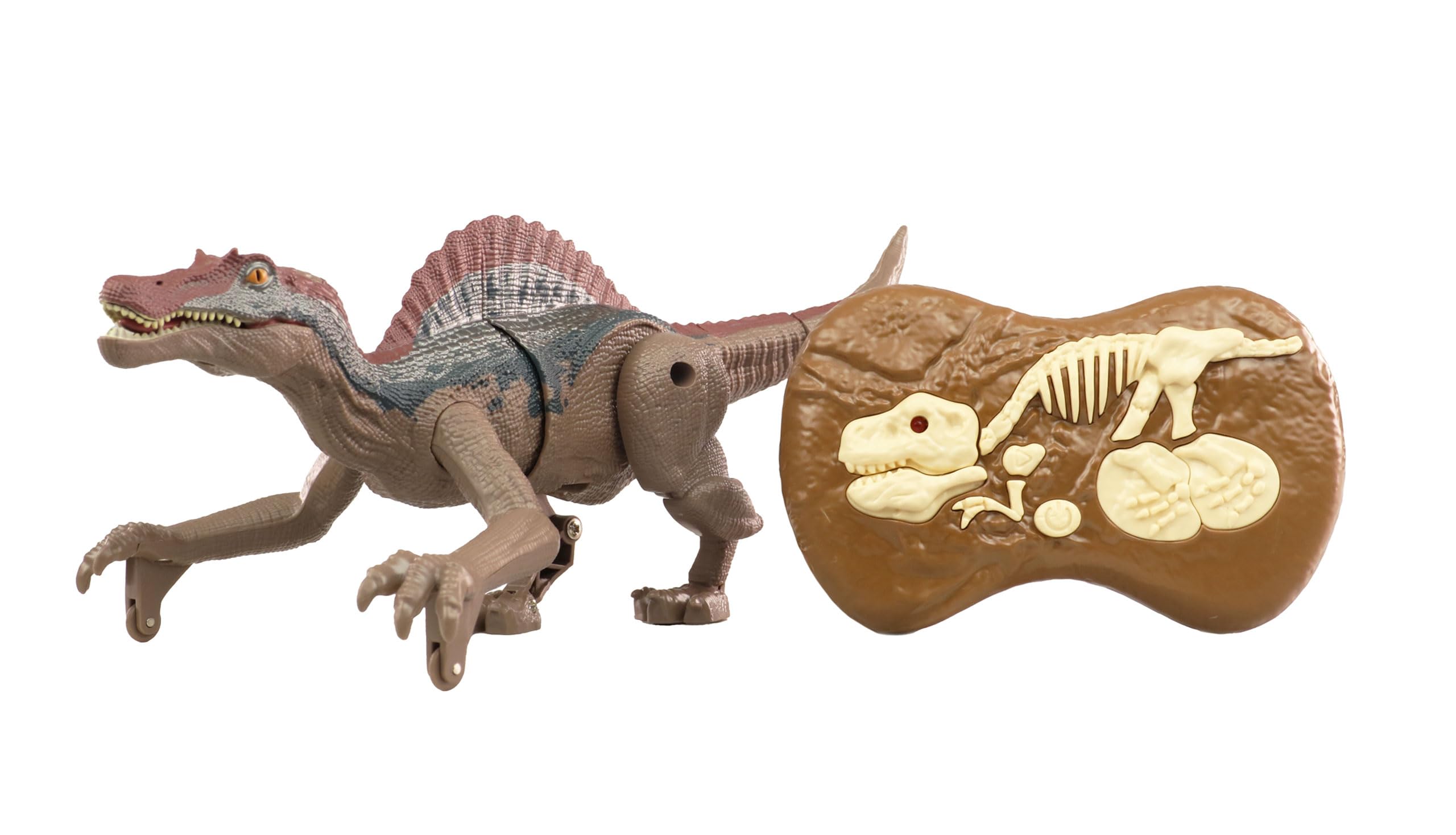 Amewi Spinozaur RC dinozaur 21 cm RTR
