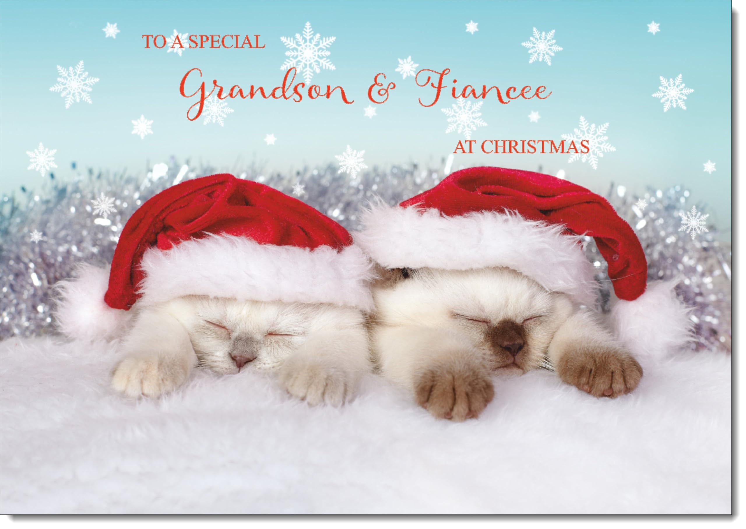 doodlecards Grandson and Fiancee Christmas Card Two Cats with Santa Hats Large A4 Size Christmas Card for Grandson & Fiancee with Plain Envelope โ image 1
