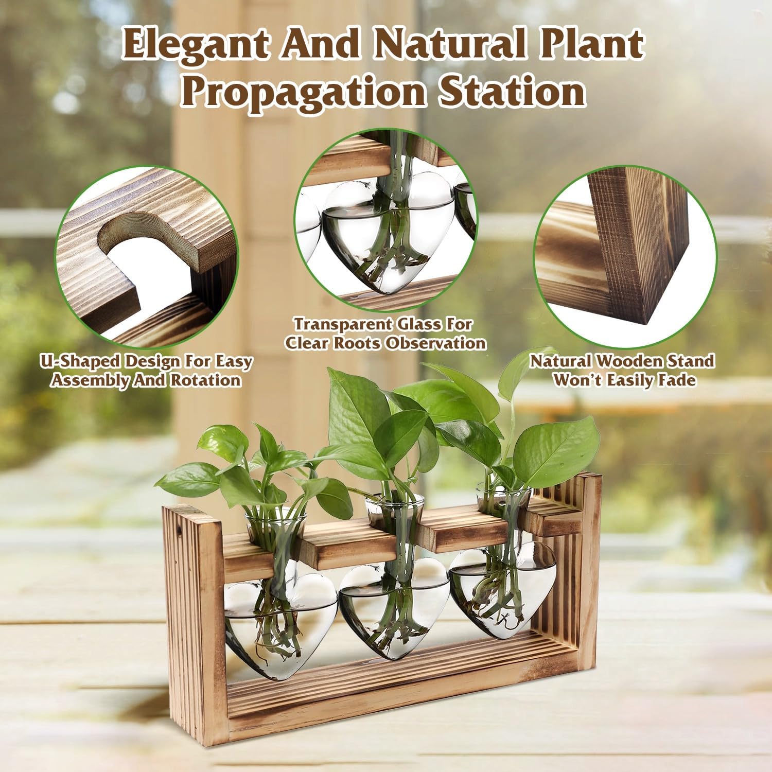 Plant Propagation Station, Plant Terrarium with Wooden Stand, Tabletop Glass Planter Desktop Plants Propagation Vase for Hydroponics Plants - 3 Heart Shaped Vases - Image 3