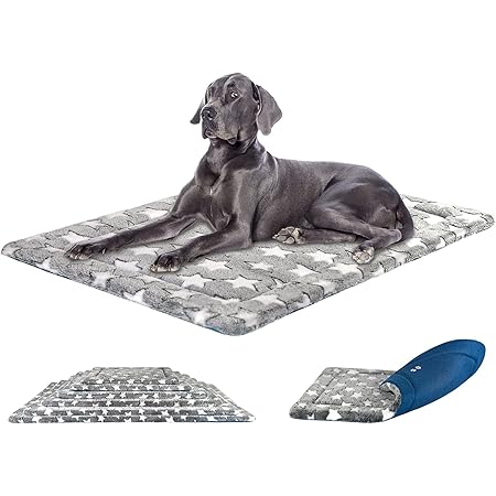 54 inch dog bed