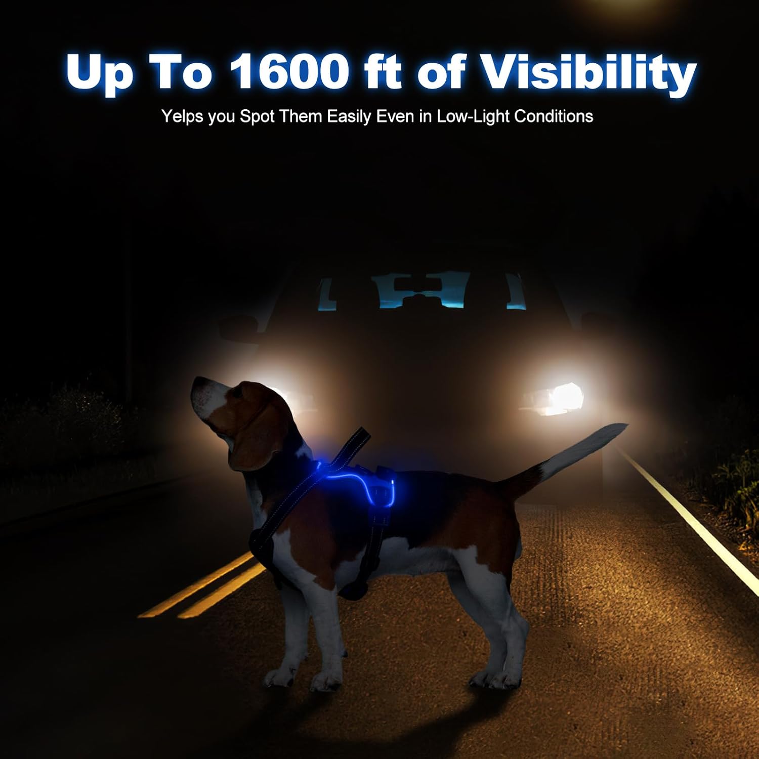 MASBRILL LED Dog Harness - No Pull Light Up Rechargeable Reflective Glow Vest for Sizes Small to Large
