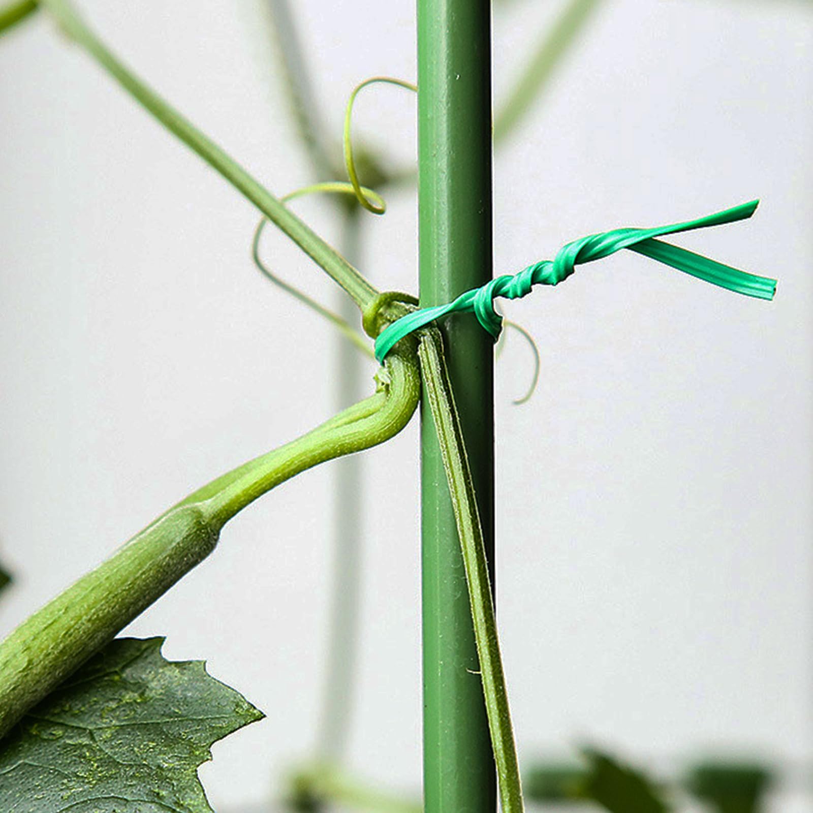Filo da giardino rivestito in plastica, filo plastificato verde, legami torsione con taglierina girevole, corda metallica per contenere piante, ideale per giardino, casa (100 metri